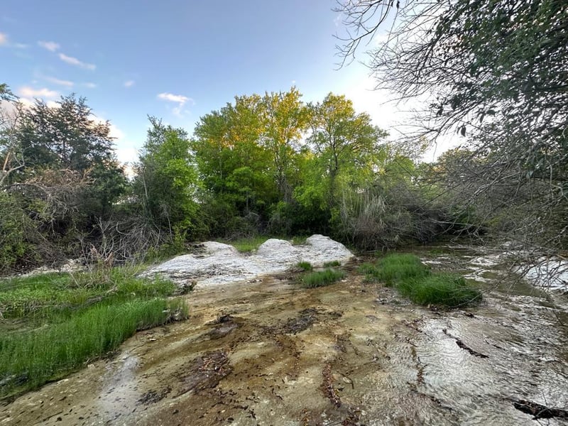 TBD Lot 2 Fm 1105 , Georgetown, TX 78626