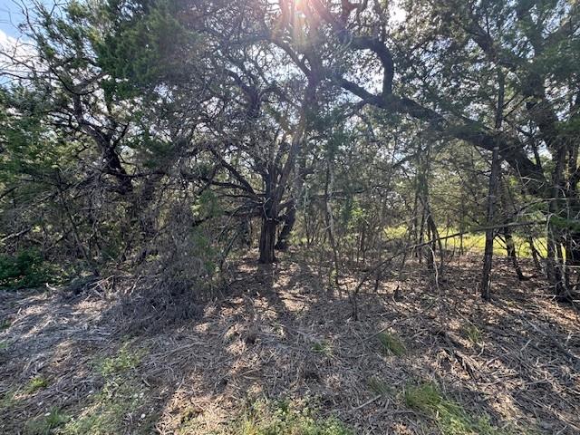 Lot 23 Rifle Rg, Burnet, TX 78611