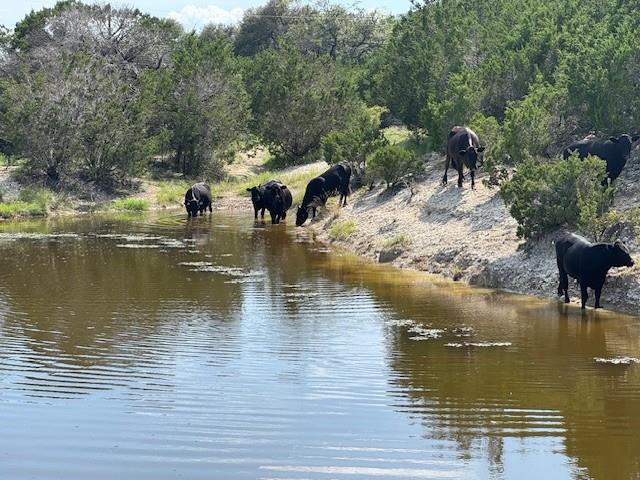 Lot 22 Rifle Rg, Burnet, TX 78611