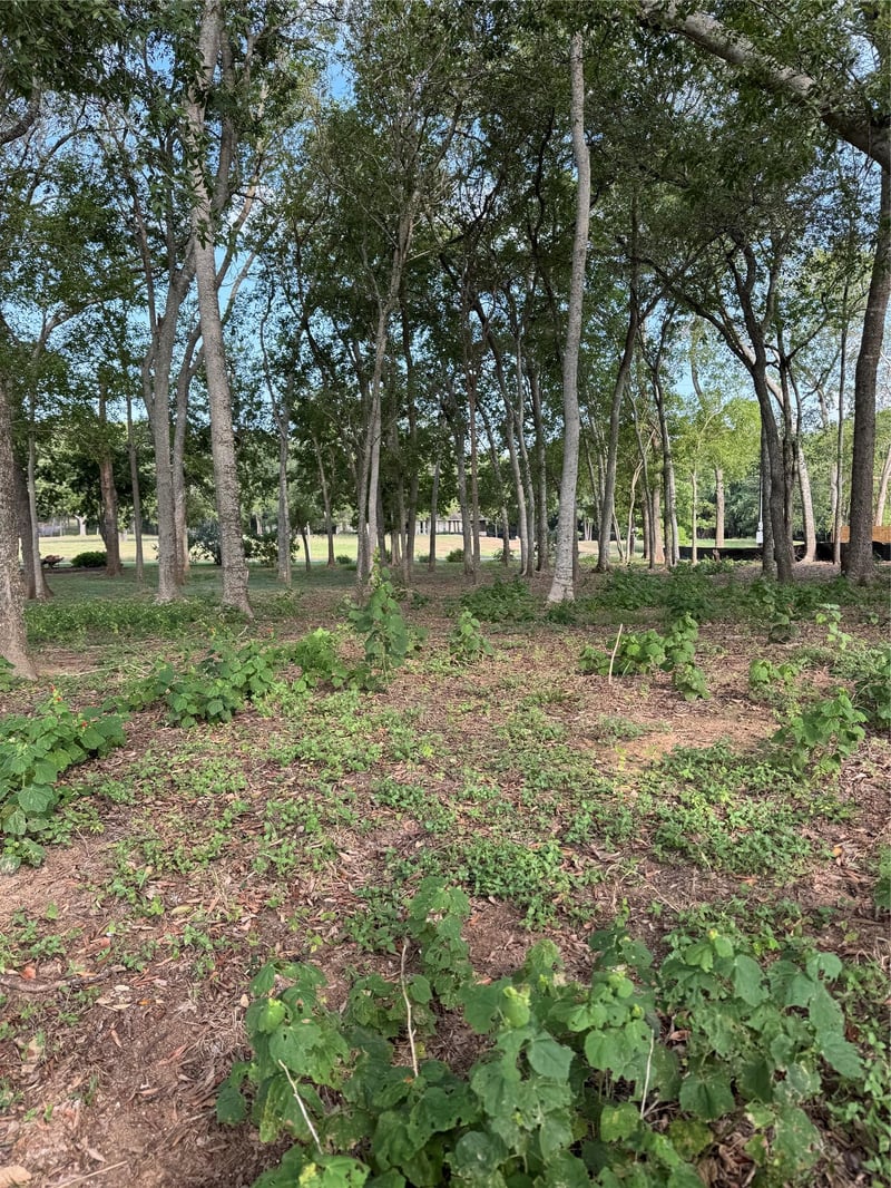 736 Riverside DR, Bastrop, TX 78602