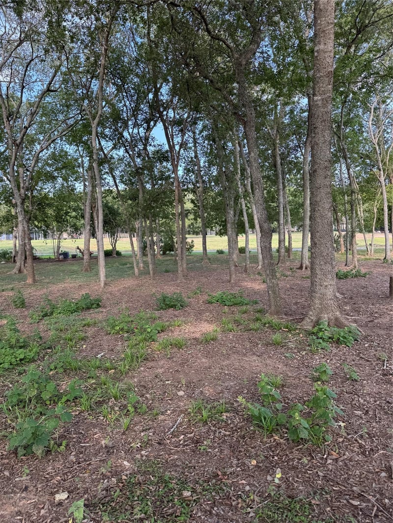 736 Riverside DR, Bastrop, TX 78602