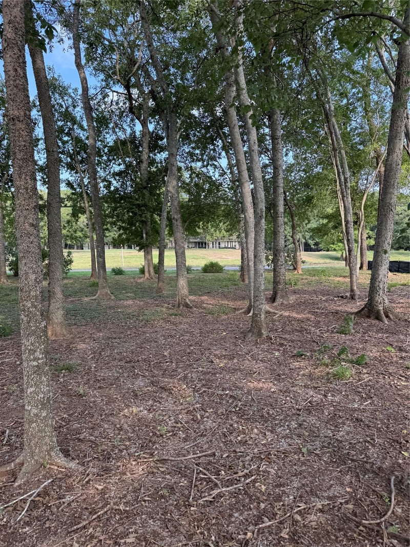 736 Riverside DR, Bastrop, TX 78602