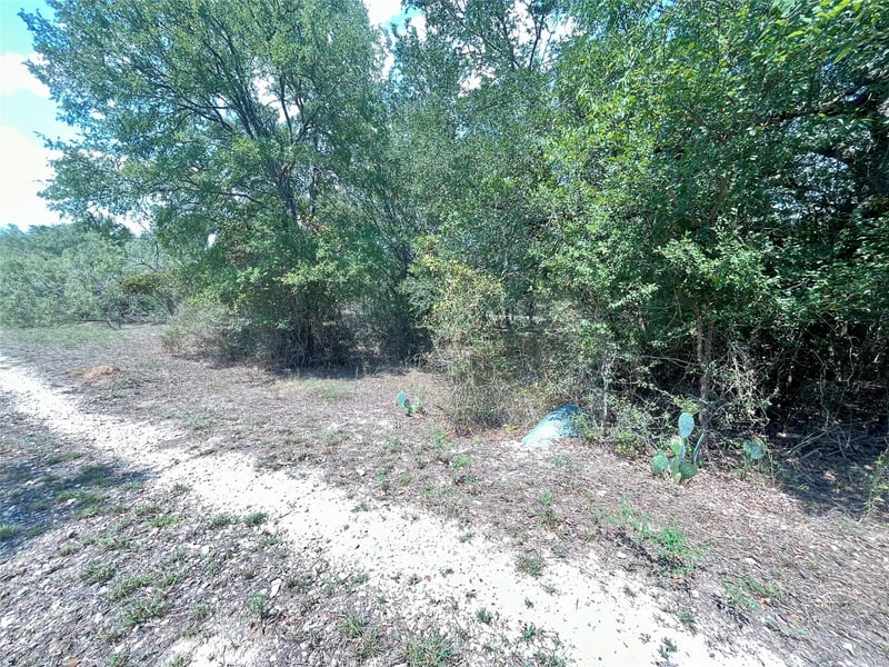 312 Blue Flame RD, Cedar Creek, TX 78612