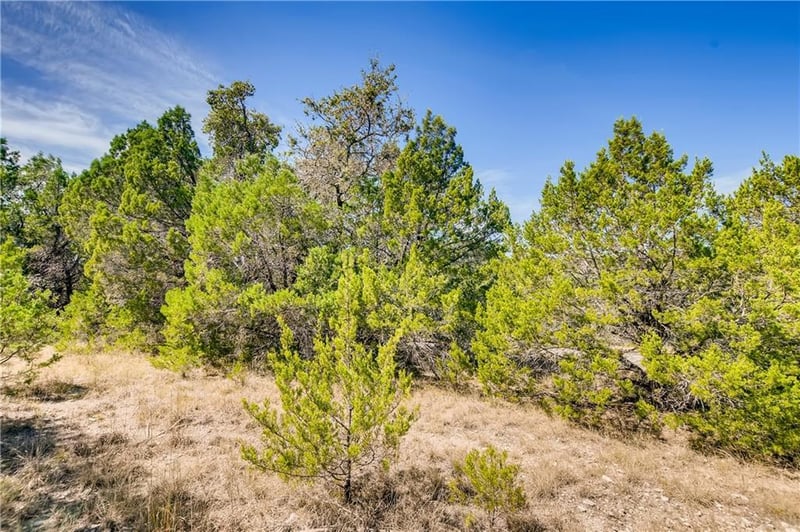 2807 Newton DR, Lago Vista, TX 78645