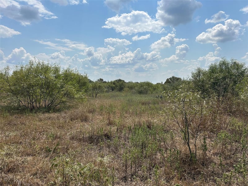 303 Walter Hoffman RD, Cedar Creek, TX 78612