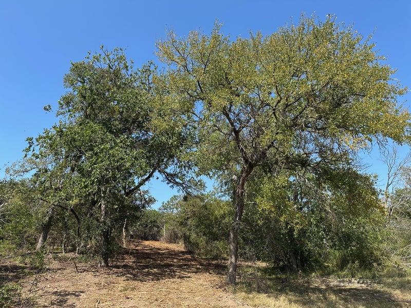 105 Winding River RD, Kempner, TX 76539