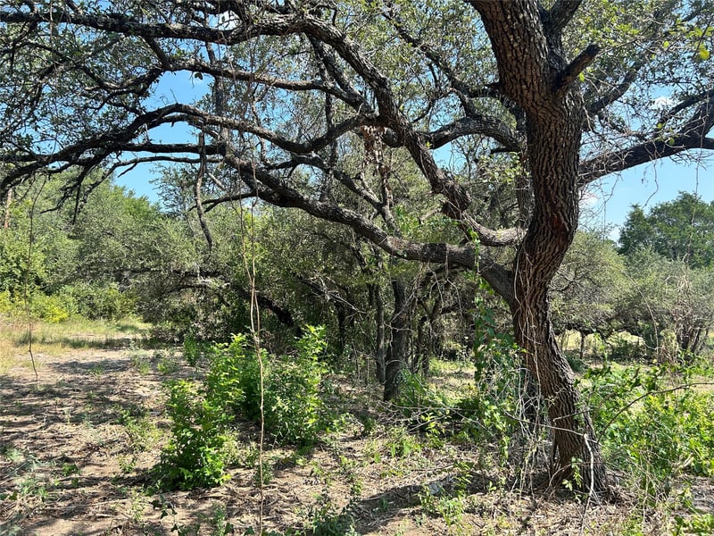 18310 Austin DR, Jonestown, TX 78645