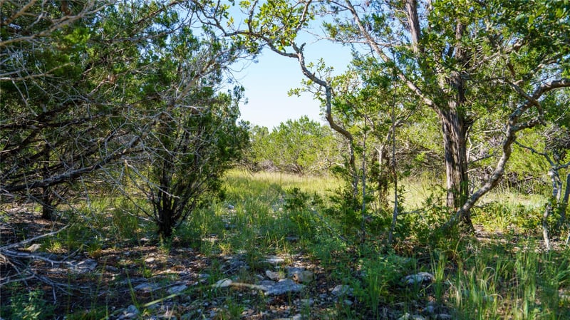 150 Branched Out Trl, Kerrville, TX 78028