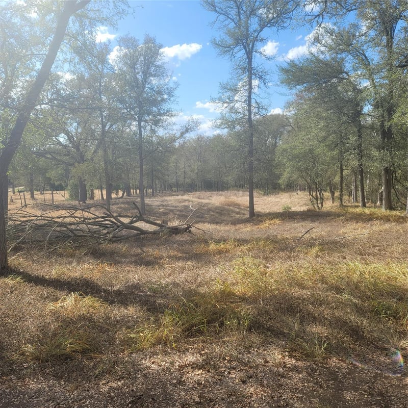 2492 Fm 1704 , Elgin, TX 78621