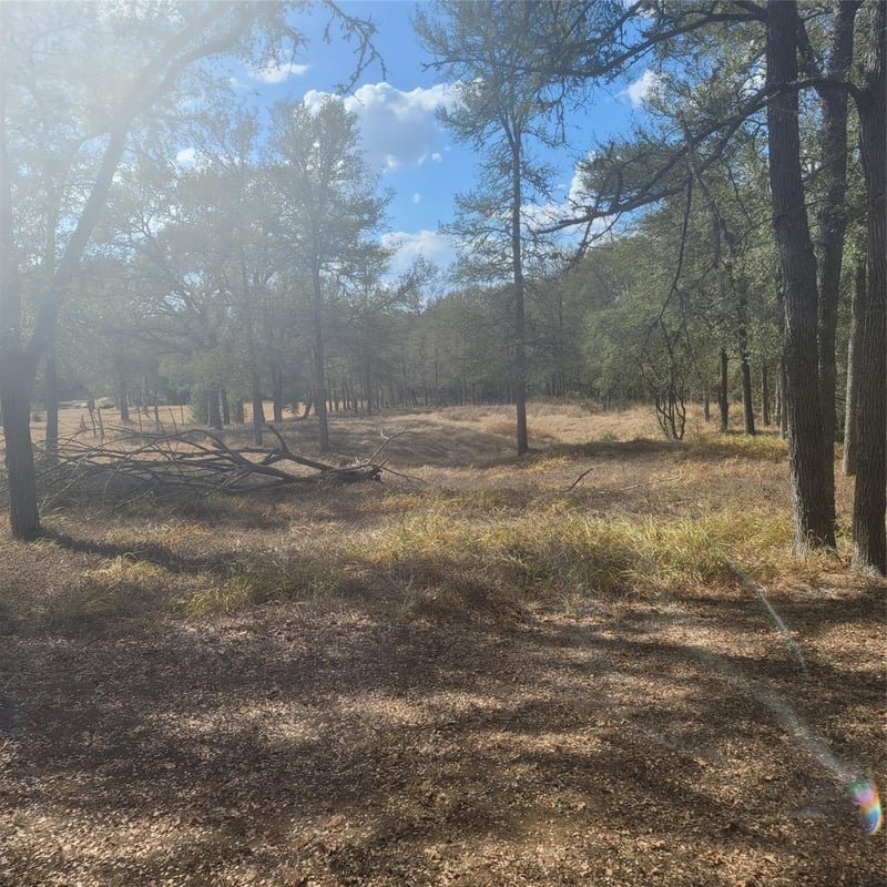 2492 Fm 1704 , Elgin, TX 78621