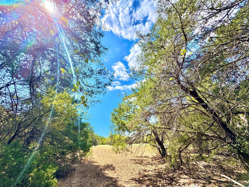 TBD 50.62 Acres Rabel RD, Rosanky, TX 78953