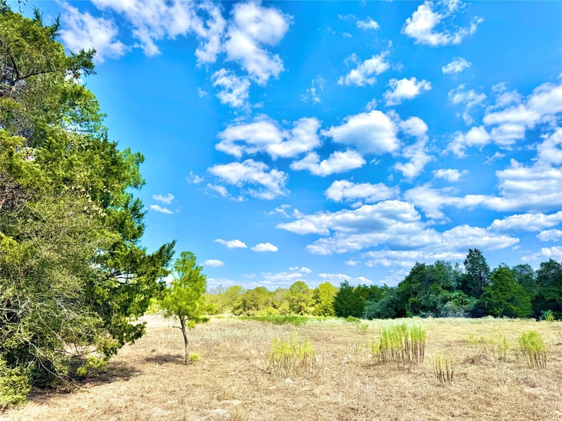 TBD 50.62 Acres Rabel RD, Rosanky, TX 78953