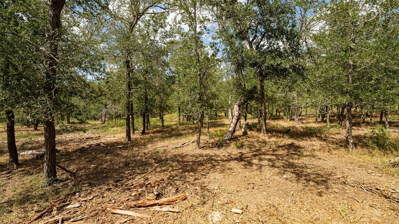 0 Fm 3158, Dale, TX 78616