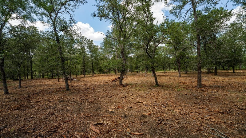 0 Fm 3158, Dale, TX 78616