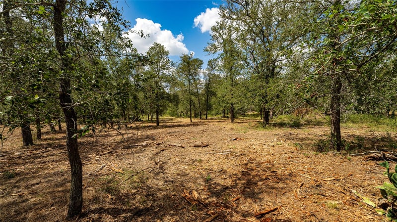 0 Fm 3158, Dale, TX 78616