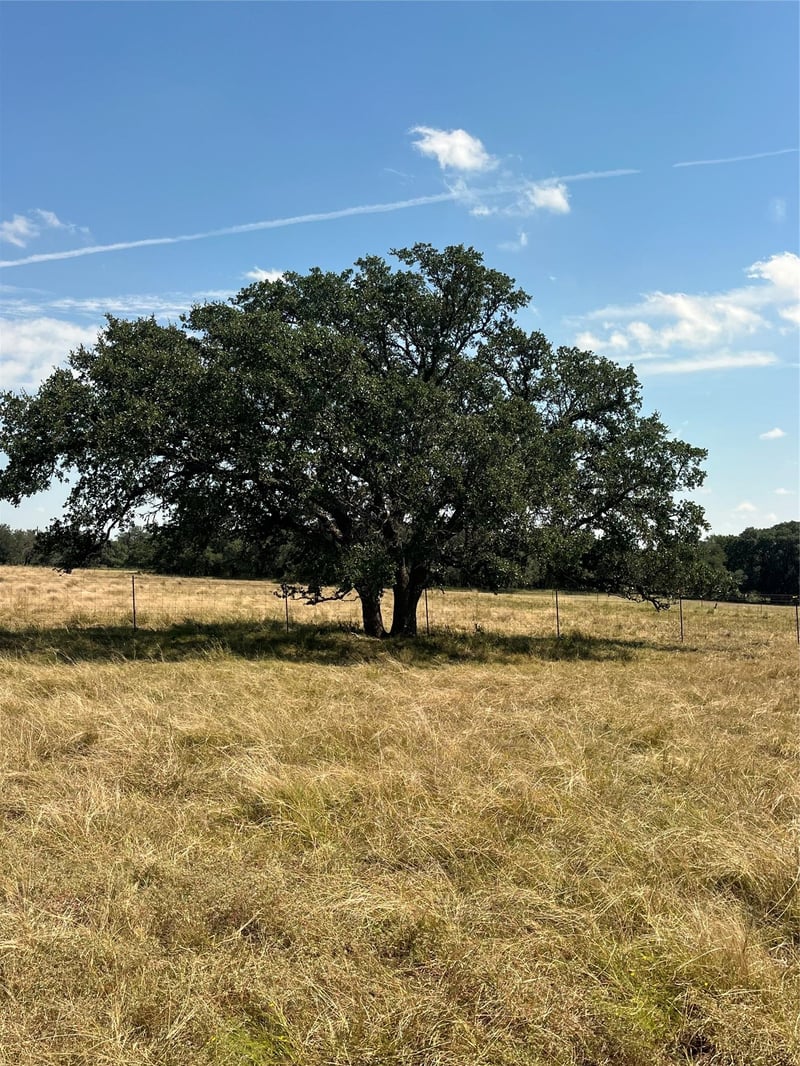 TBD County Road 222, Florence, TX 76527