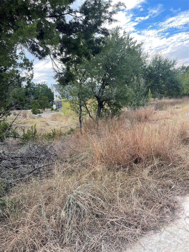 10103 George Hill DR, Dripping Springs, TX 78620