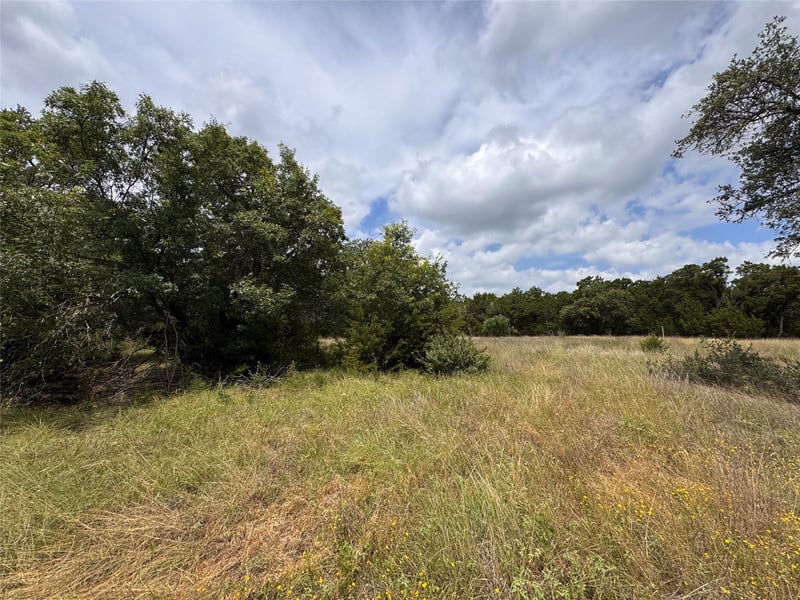 3317 Whitt Park Pa, Leander, TX 78641