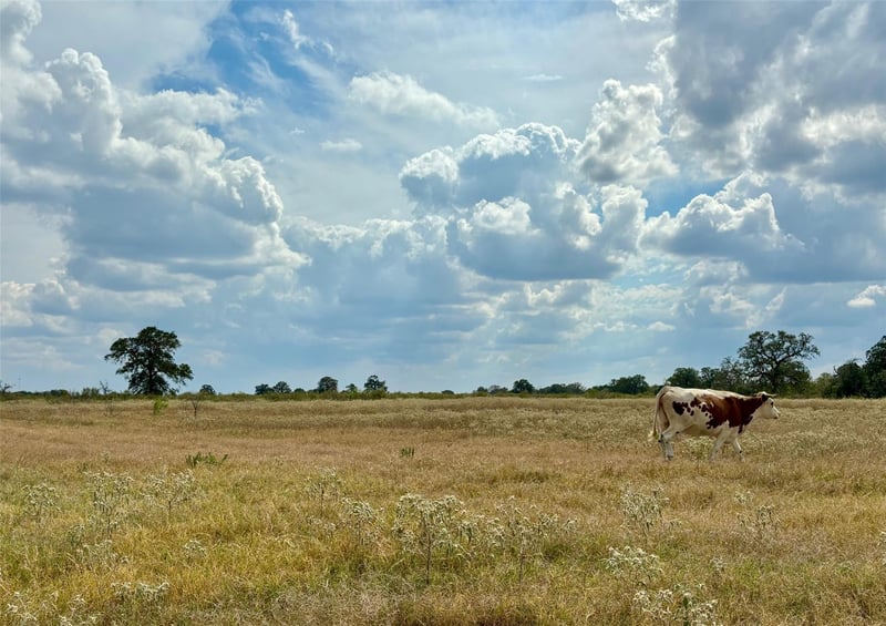 3 Big Sky Ranch RD, Smithville, TX 78957