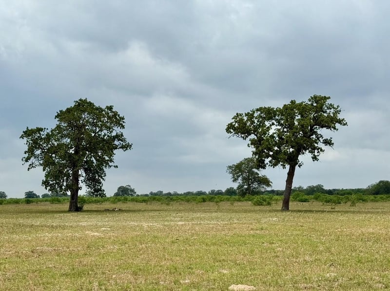 3 Big Sky Ranch RD, Smithville, TX 78957