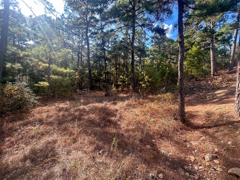 Lot 85 Hill Ridge DR, Bastrop, TX 78602