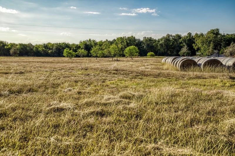 460 County Road 328, Caldwell, TX 77836