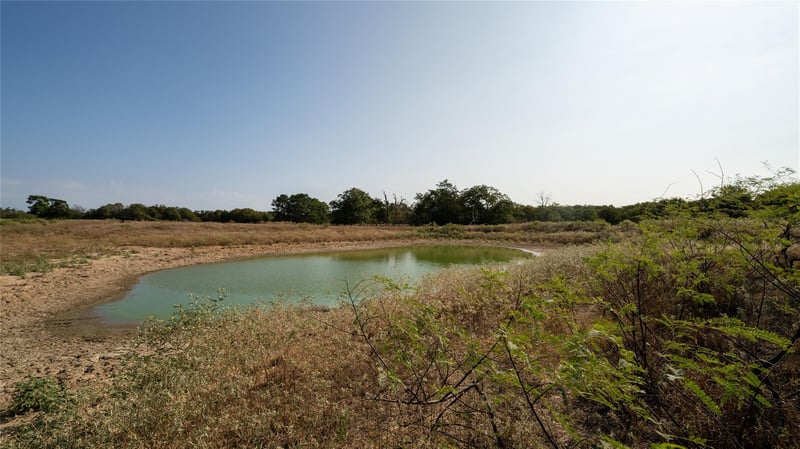 TBD TRACT 8 Cedar Rock RD, Rosanky, TX 78953