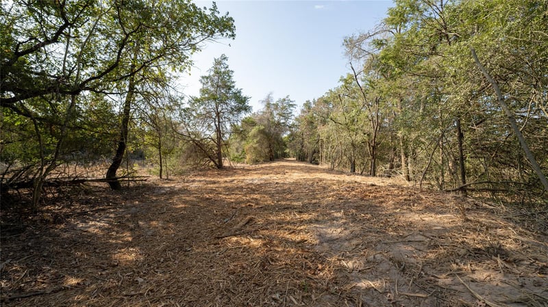 TBD TRACT 8 Cedar Rock RD, Rosanky, TX 78953