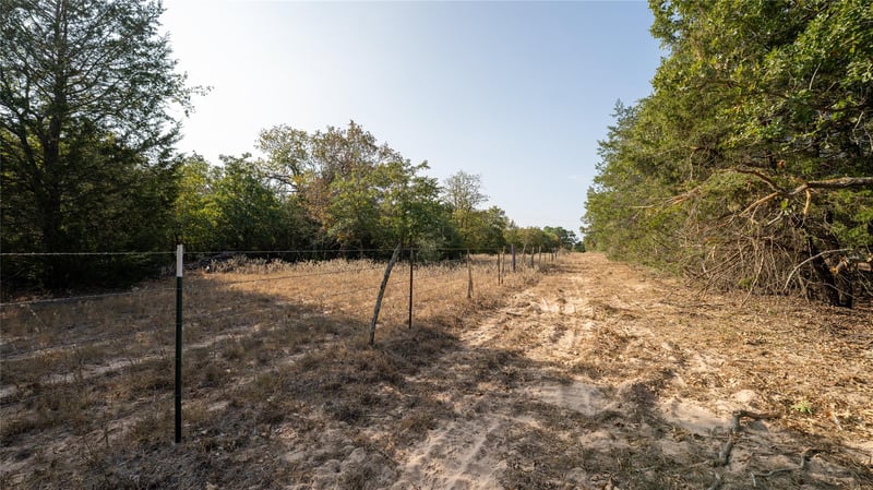 TBD TRACT 8 Cedar Rock RD, Rosanky, TX 78953