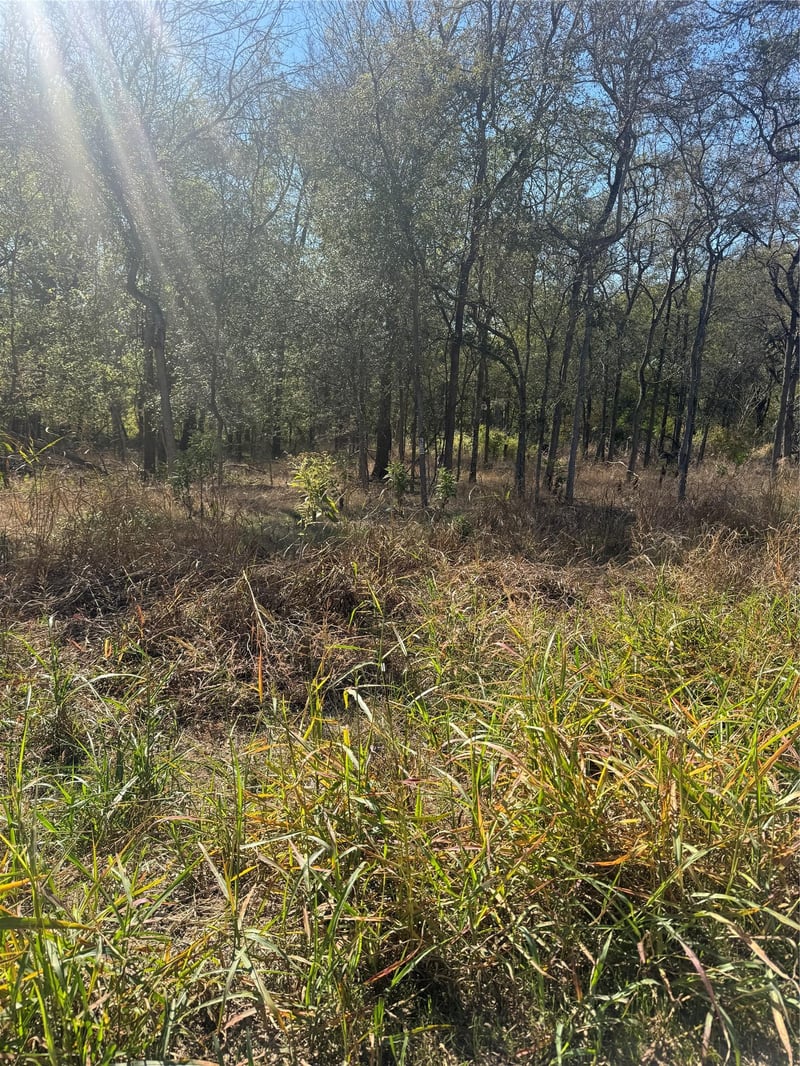 221 Kahana LN, Bastrop, TX 78602