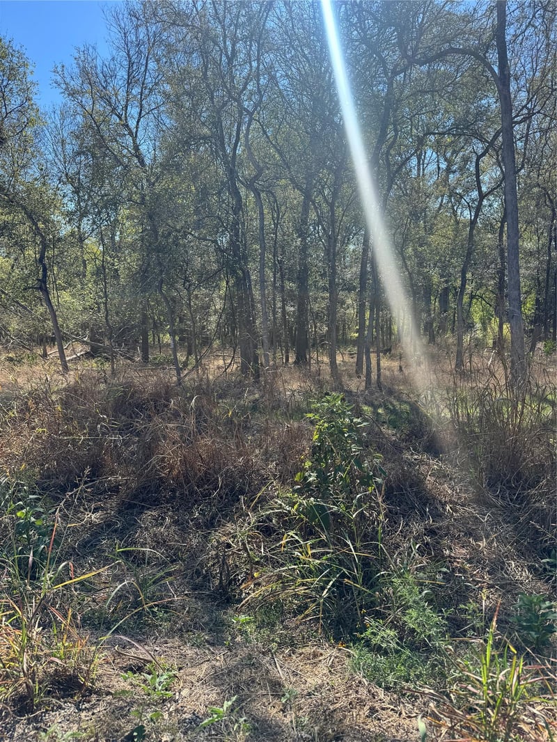 221 Kahana LN, Bastrop, TX 78602