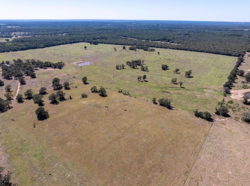 1078 Old Pin Oak RD #Tract 2, Paige, TX 78659