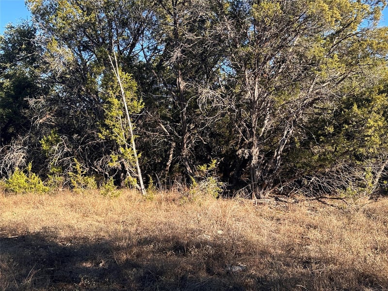 39 Persimmon DR, Wimberley, TX 78676