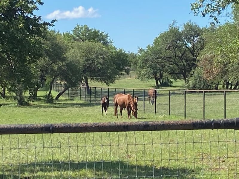 385 Country LN, Dripping Springs, TX 78620