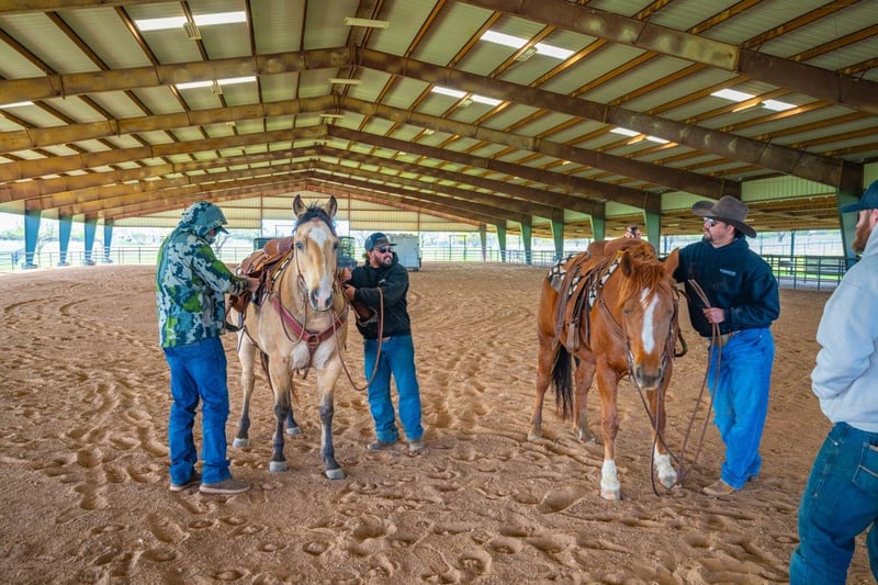 3019 S Highway 16, Llano, TX 78643