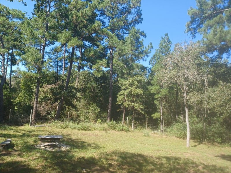 172 Pine Canyon DR, Smithville, TX 78957