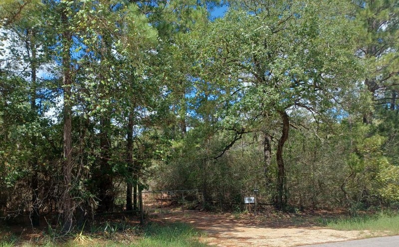 172 Pine Canyon DR, Smithville, TX 78957