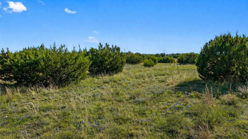 386 Appaloosa Rn, Johnson City, TX 78663