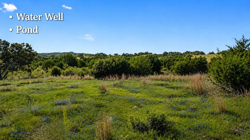 386 Appaloosa Rn, Johnson City, TX 78663