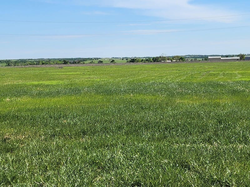 3001 Dolphin DR, Coupland, TX 78615