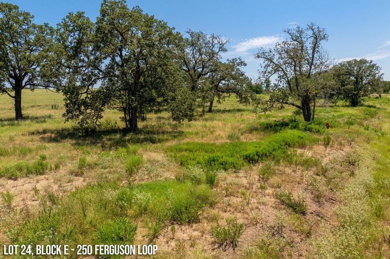 250 Ferguson Loop, Dale, TX 78616