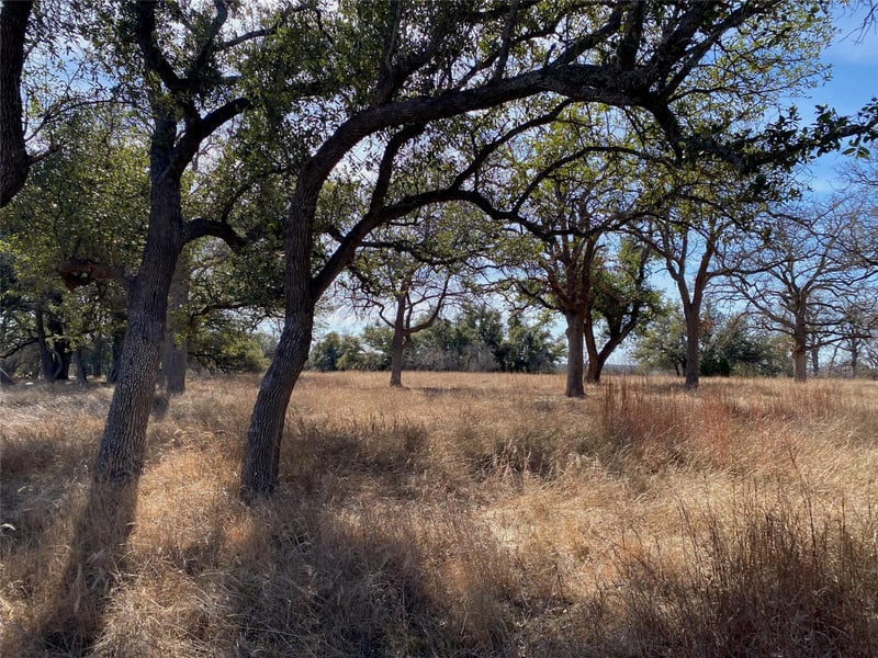 304 Lightning Ranch PT, Georgetown, TX 78628
