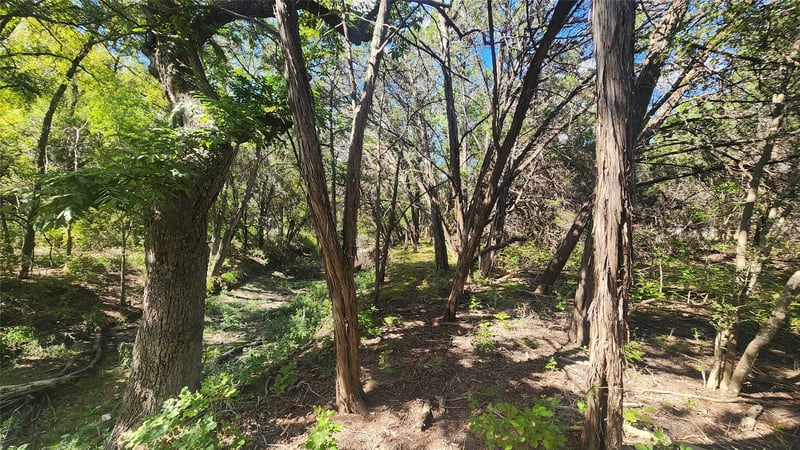 25615 Ronald W Reagan BLVD, Georgetown, TX 78633