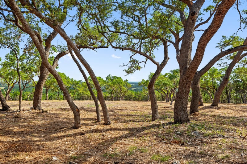 9475 Fm 32 Lot 15, Fischer, TX 78623