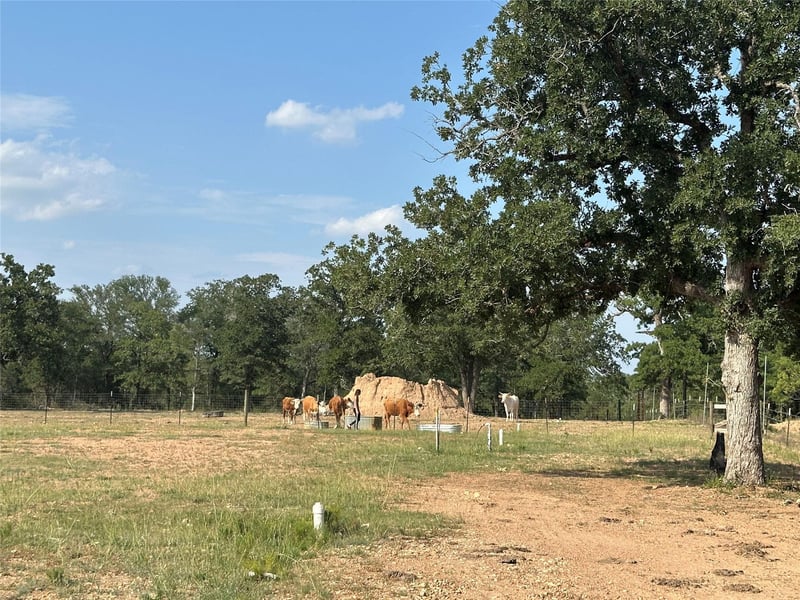 10096 Us Highway 183 Hw, Lockhart, TX 78644