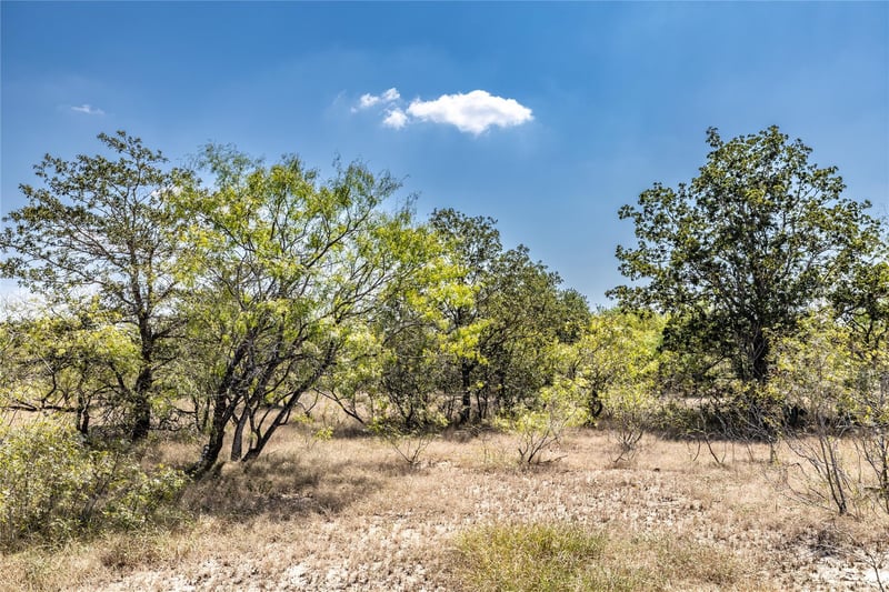 TBD Lot 3 Track RD, Dale, TX 78616