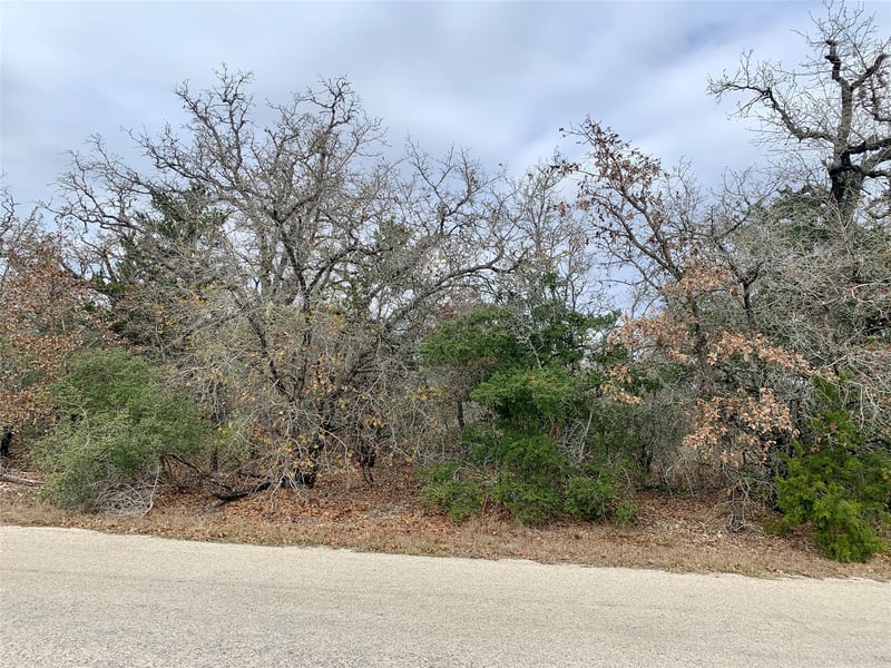 TBD Peace Pipe/buffalo Rn, Smithville, TX 78957