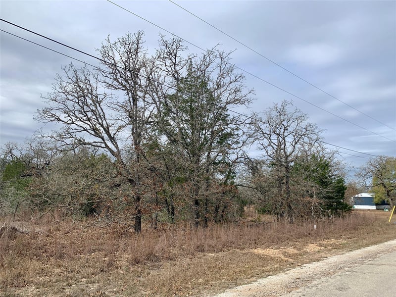 TBD Peace Pipe/buffalo Rn, Smithville, TX 78957