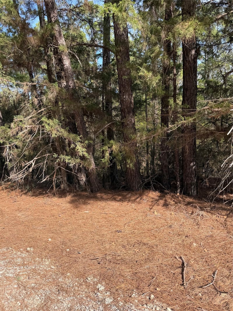 Lot 266 Wainee DR, Bastrop, TX 78602