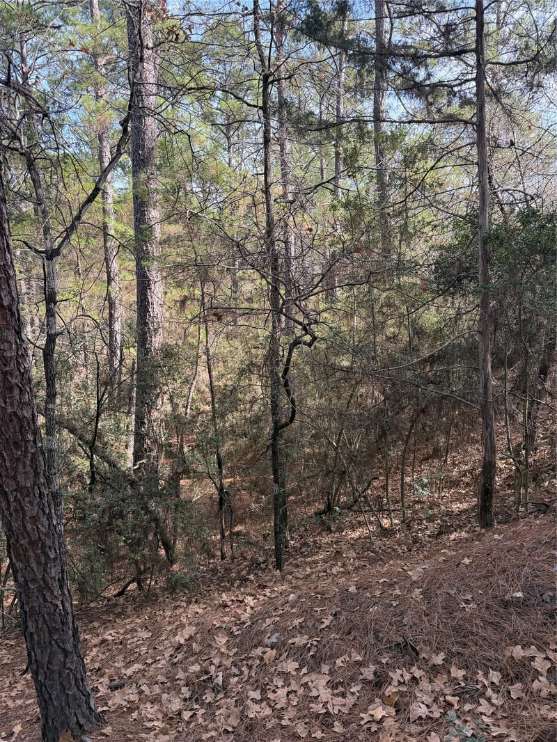 Lot 266 Wainee DR, Bastrop, TX 78602
